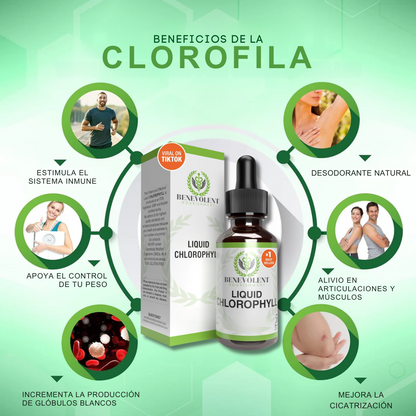 CLOROFILA BENEVOLENT